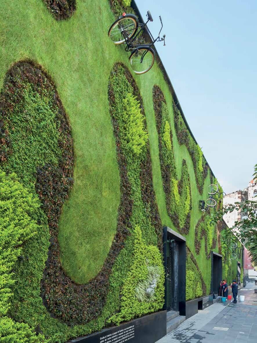 Le mur végétal, une tendance écologique