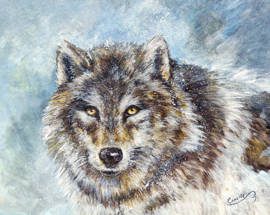 Le loup 46x38 acrylique sur toile