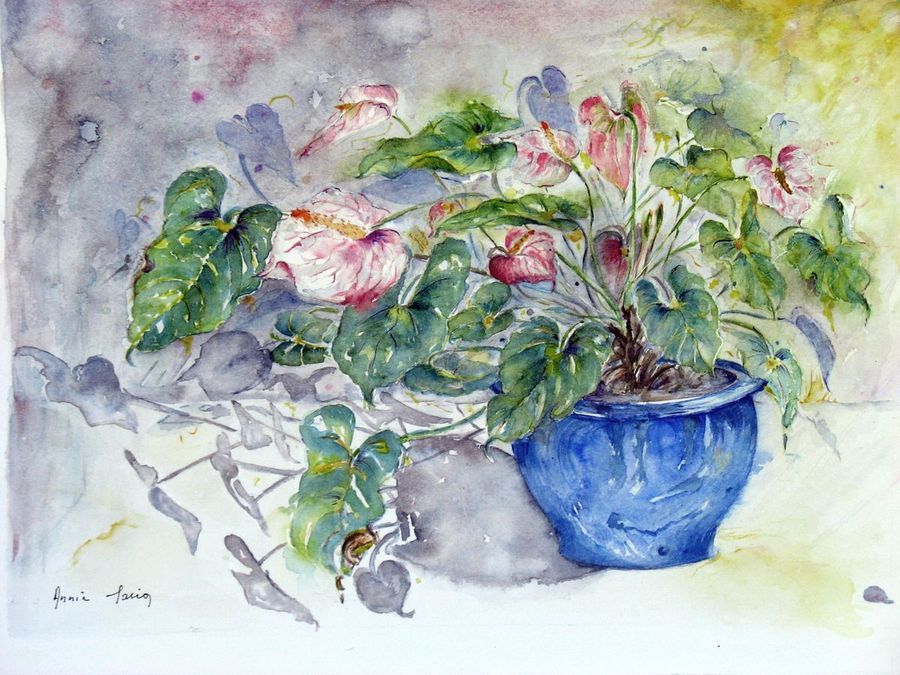 Annie Maria – artiste peintre, aquarelliste